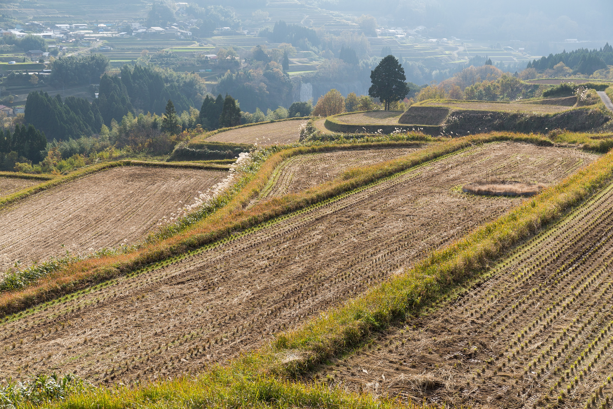 Traditional japanese countryside